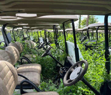 Fleet golf cart buyer, bulk golf cart purchaser, fleet golf cart acquisition specialist, large volume golf cart collector, wholesale golf cart recovery